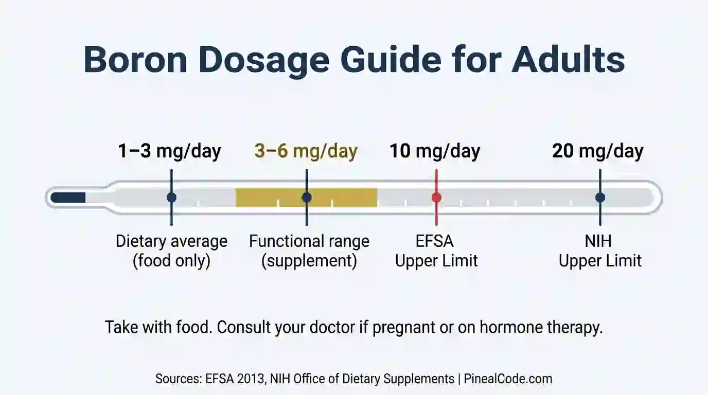 Boron dosage safety chart showing 3–6 mg daily functional range and 10 mg EFSA upper limit for adults