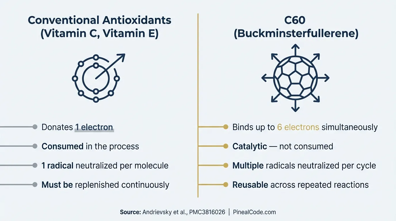 Infographic comparing C60 antioxidant mechanism vs vitamin C — catalytic vs single-use free radical neutralization