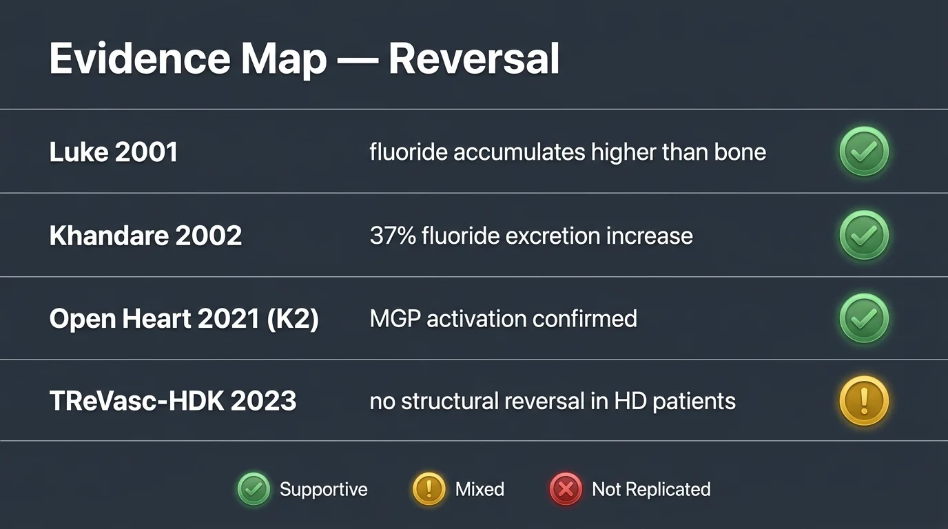 Evidence summary chart for pineal calcification reversal: Luke 2001 fluoride accumulation data, Khandare 2002 tamarind excretion trial (+37%), K2/MGP pathway Open Heart review (positive), TReVasc-HDK trial (no structural reversal in HD patients)