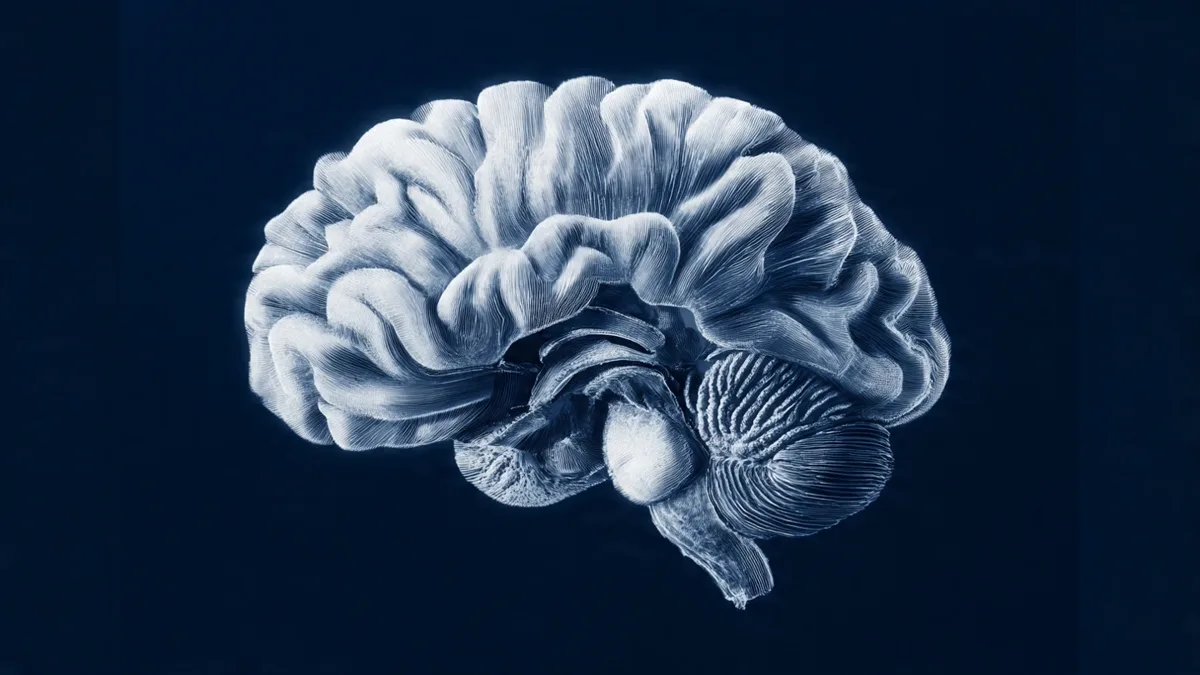 How to Decalcify Your Pineal Gland Naturally: 7 Science-Backed Methods