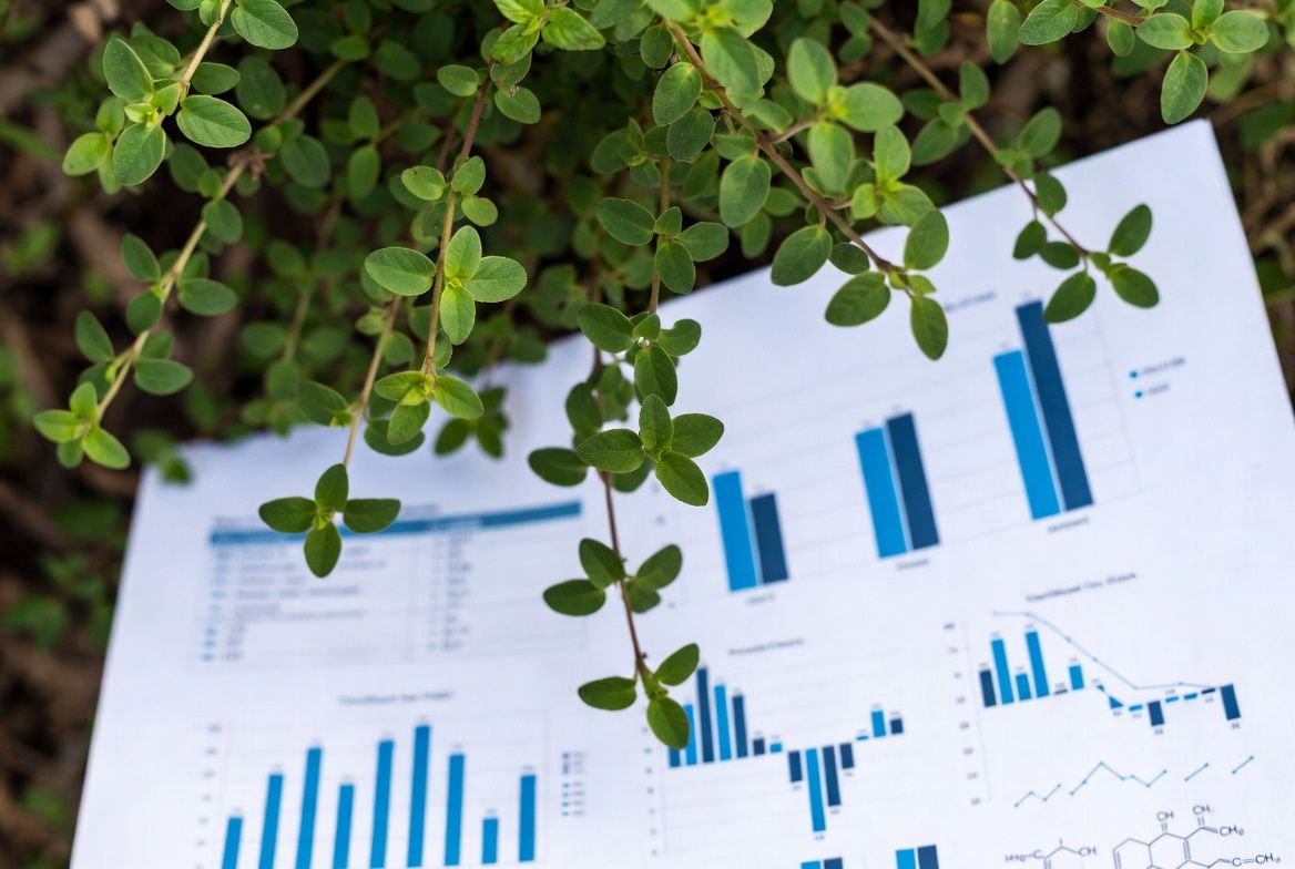 Bacopa Monnieri research evidence